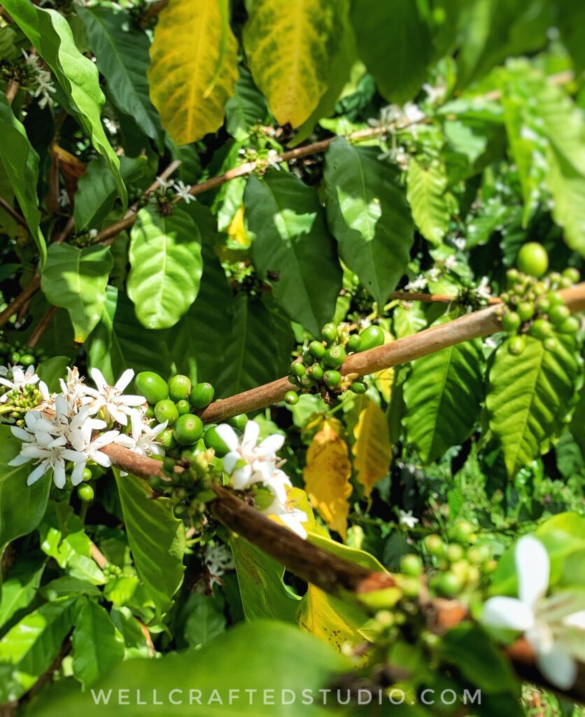 Well Crafted Studio Before you START creatingSTOP doing this